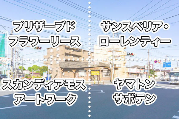 サムネ2