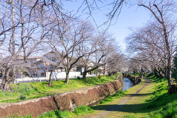 桜ヶ丘駅周辺限定のフォトコンが開催されるみたい。賞品はクオカード