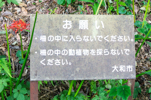 名称未設定-2310021