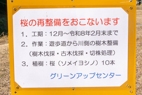 名称未設定-2601151-17