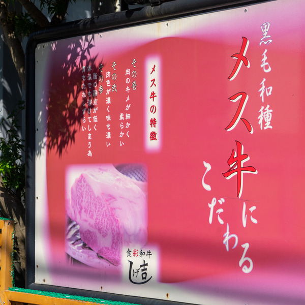 しげ吉-2209251