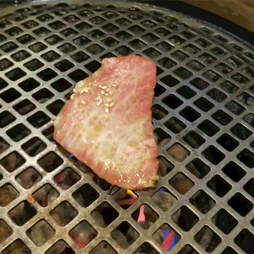 肉-3