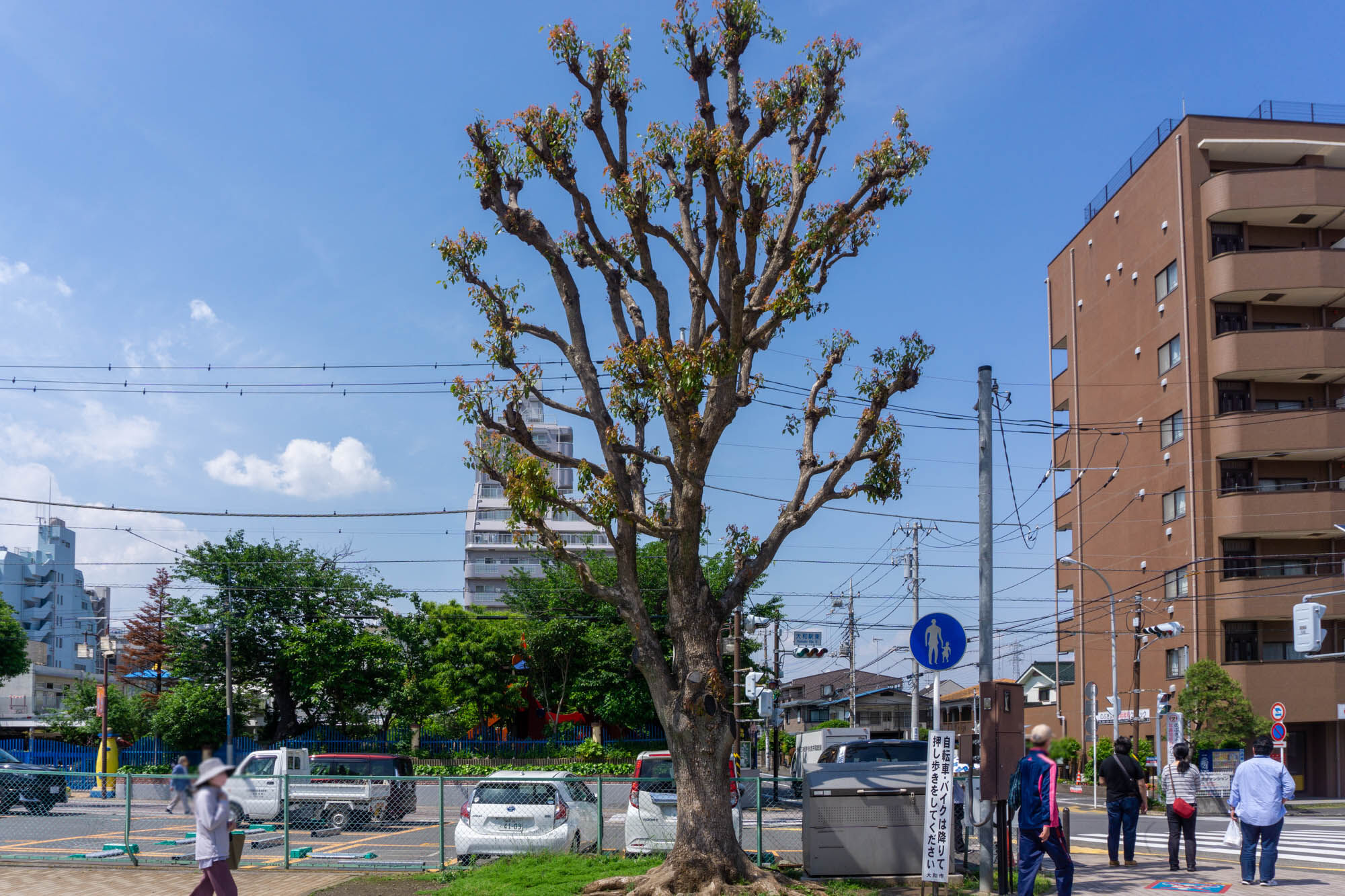 大和市で口数が1番多い駅はど こだ やまとなぞなぞ 大和とぴっく やまとぴ