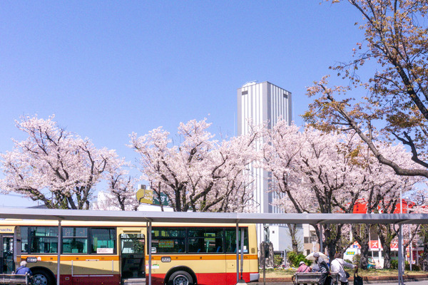 名称未設定-2404101-15
