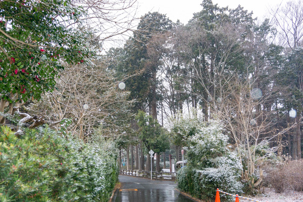 雪-2302101