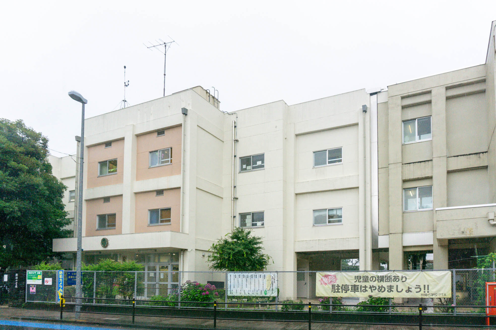 大和 市立 林間 小学校