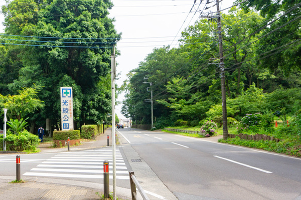 バラ公園-23062410