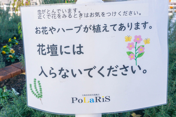 名称未設定-2412031-9