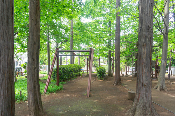 宇都宮記念公園-2205064