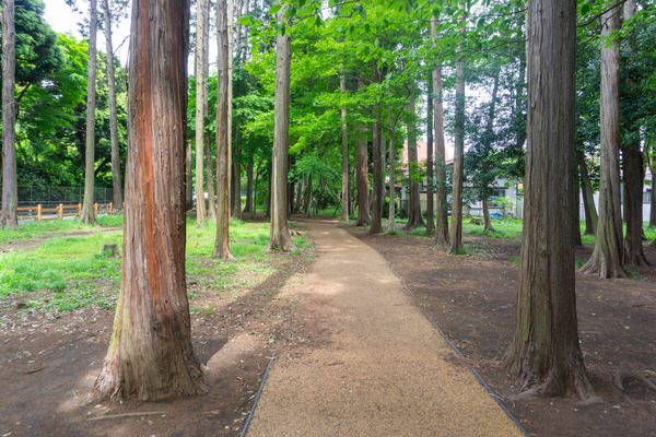 宇都宮記念公園-22050610