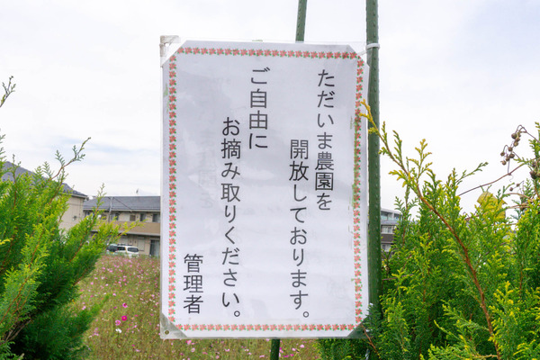 名称未設定-2310251-6