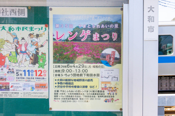 いちょう団地前・下和田水田で「レンゲまつり」開催するみたい。4月29日