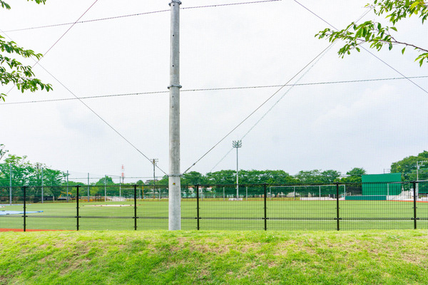 バラ公園-2306241