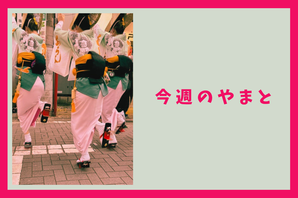 今週のもりかど・やまと