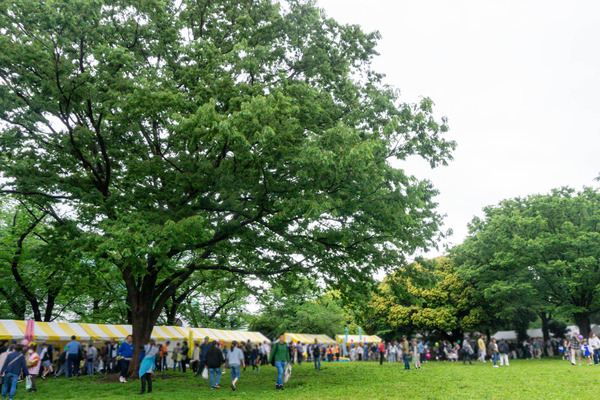 名称未設定-2505101-13