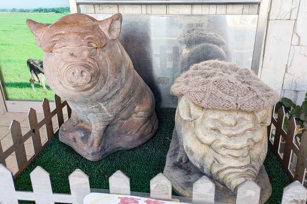 PXL_20250228_014912708