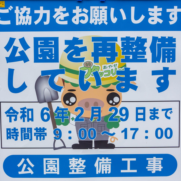 バラ公園-2306245