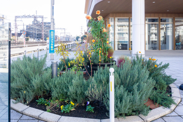 名称未設定-2412031-10