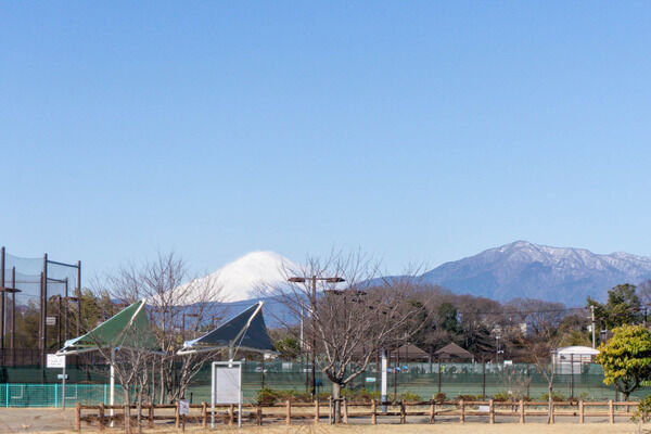 大和市から一番近い百名山はどこ？【やまとクイズ】