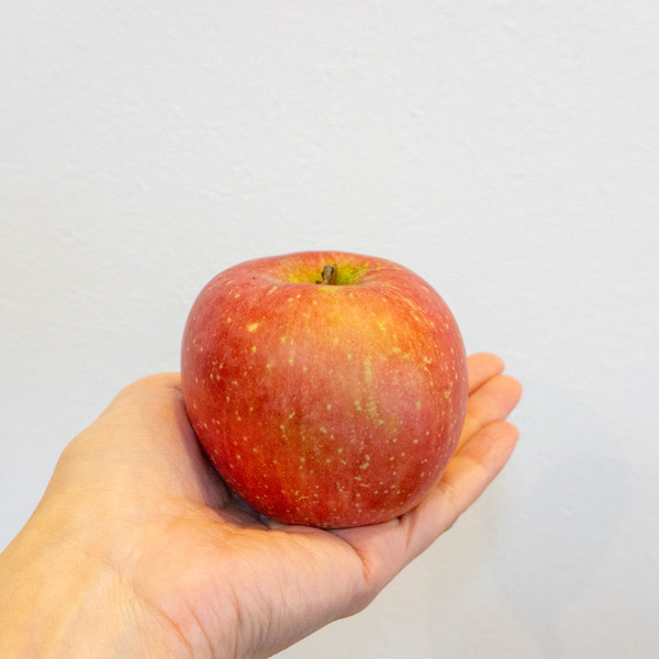 りんご-2211042