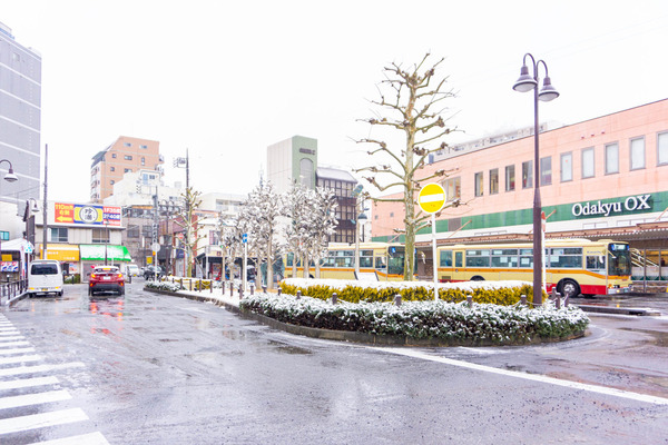 雪２-2302102