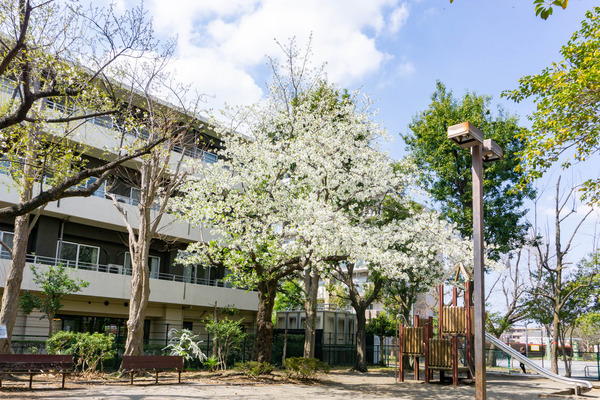 桜2-2303225
