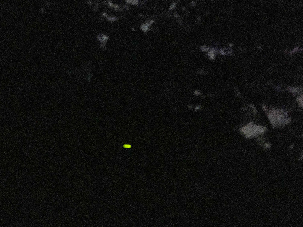 名称未設定-2407011-4