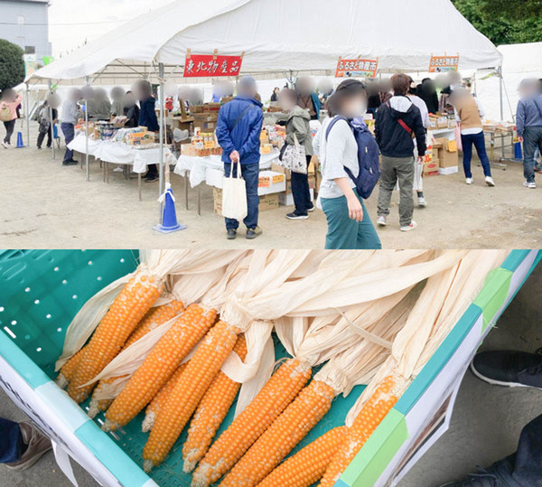 野菜会場