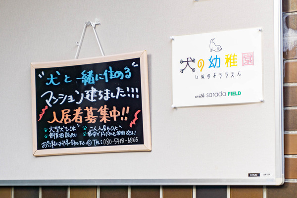 ペット共生&工事看板-2203177