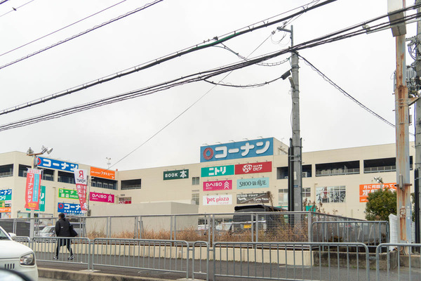 やまとぴ-2402266