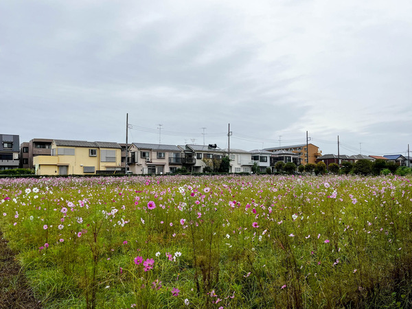 名称未設定-2510251