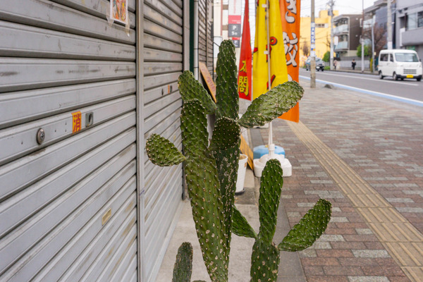 名称未設定-2412131-26