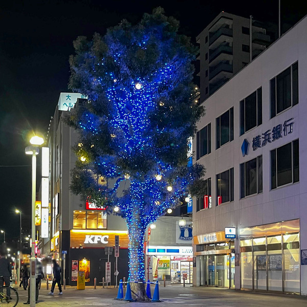 名称未設定-2512121-3