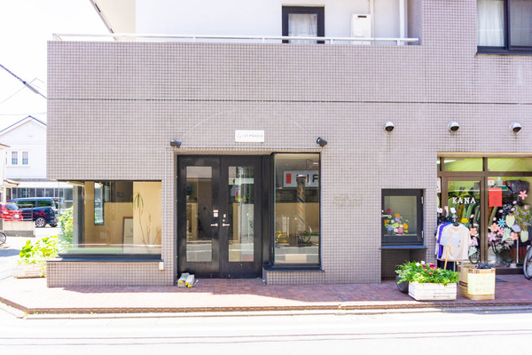 ミモザ-2206134