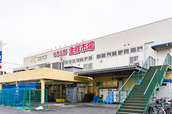 角上魚類-2203083