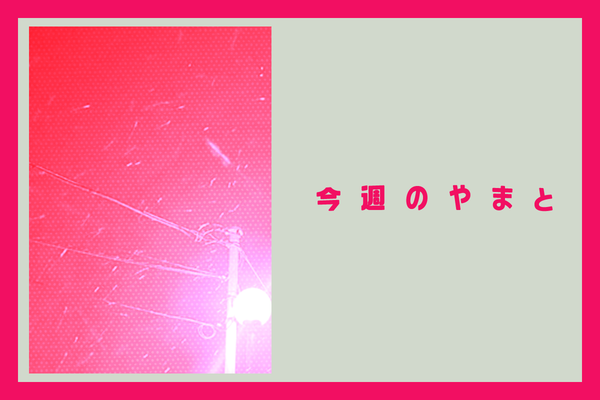 やまと2026