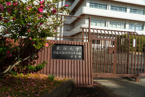 image-17