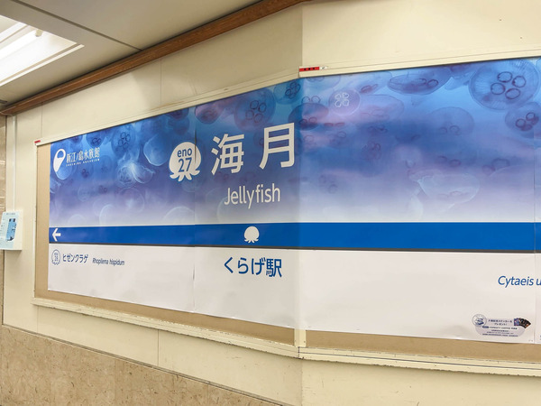 名称未設定-2409131-20