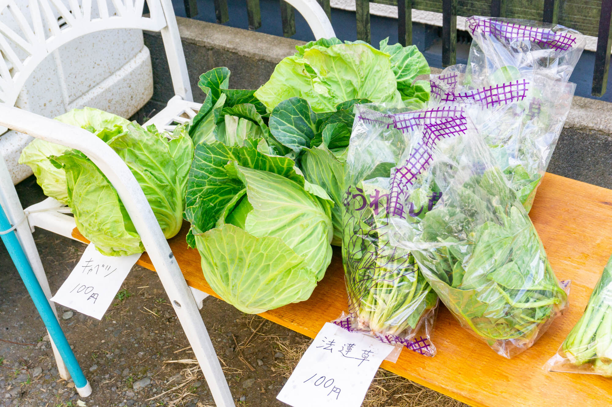 中央林間西に「大和・座間産の野菜」の無人直売所ができてる : 大和と