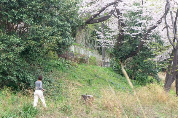 名称未設定-2303291-12