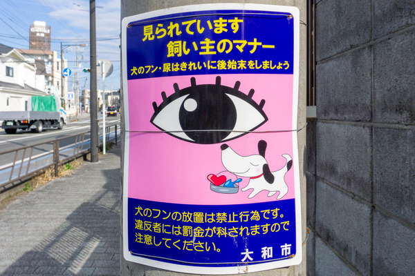 名称未設定-202203021-やまとぴ記事用-6