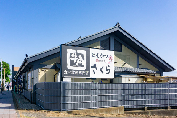 牛角さくら-2305246