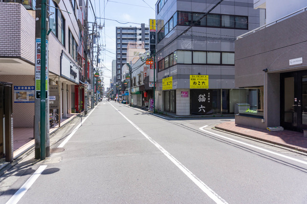 ミモザ-2206135