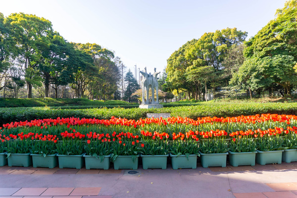 引地台公園-2204104