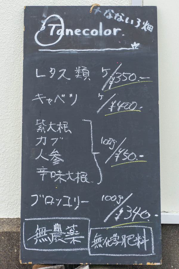 サンデーマーケット-22051536