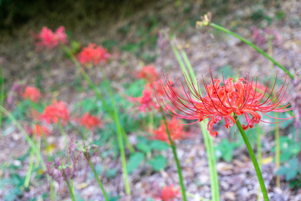 名称未設定-2310021-2