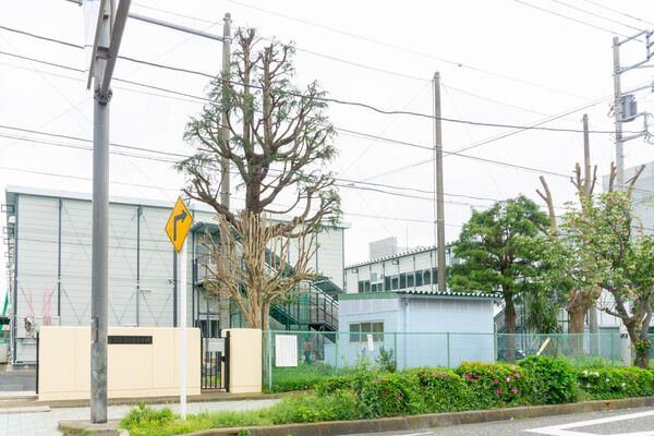 大和市出身・市川沙央さんがフランスの文学賞の最終候補に選ばれたみたい