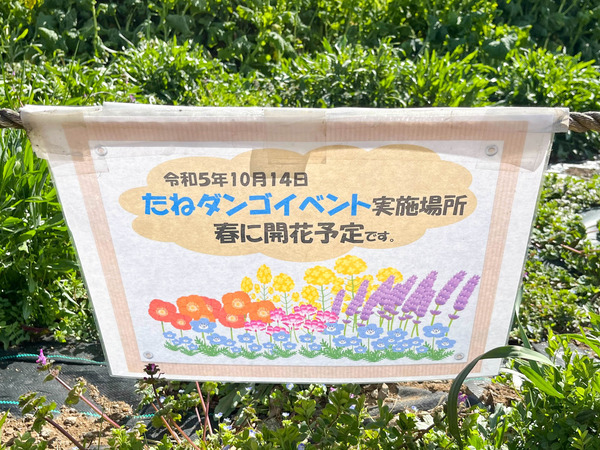 名称未設定-2403151-5