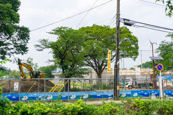 バラ公園-23062413