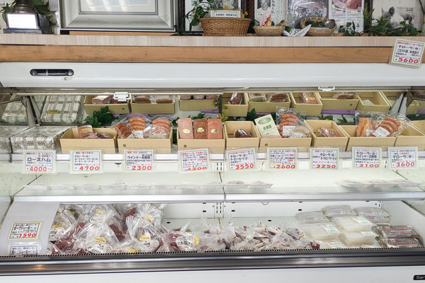 PXL_20250228_014738781.MP